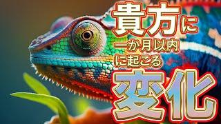 【️何が起こる？？？️】「貴方に一か月以内に起こる変化」