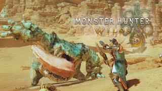 Dual Blades VS Chatacabra - Monster Hunter Wilds [Beta] [Casual Hunt]