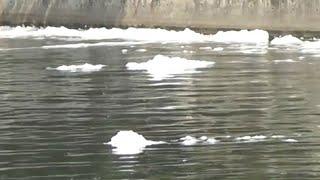Sungai Kalimas Tercemar Limbah Pabrik