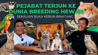 Alasan breeding kucing ras, usaha kucing menjanjikan ? resiko usaha kebun bianatang