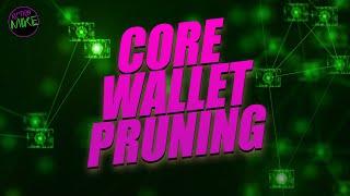 How To Save Crypto Core QT Wallet Storage With Pruning