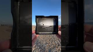 Taking Photos Using An Instant Large Format Film Camera  #expiredfilmclub #filmcamera #photography