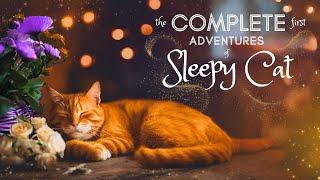 8 HOUR Sleepy Cat Bedtime Stories  ASMR Sleep Story