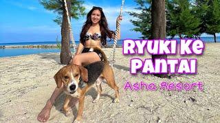 AJAK ANABUL KE PULAU PET FRIENDLY!! | Spill Budget ke ASHA RESORT PULAU SERIBU