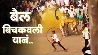 बैल बिचकवली यानं | Bailgada Sharyat Video | Naad Bailgadyacha | Bull Race