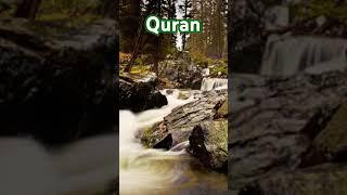 Quran e paak।#quranrecitation #qurantilawatbeautifulrecitation