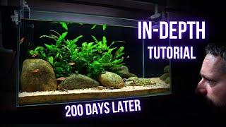 HOW to KEEP a HEALTHY NANO COMMUNITY AQUARIUM (FULL TUTORIAL)