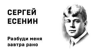 Сергей Есенин Разбуди меня завтра рано  Учить стихи легко Аудио Стихи Слушать Онлайн