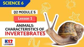 Science 6 Quarter 2 Module 5 - Characteristics of Invertebrates