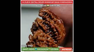 14 MUKHI NAAG GANESH GOURI SHANKAR NEPALI RUDRAKSHA 9437022327