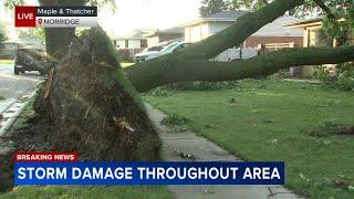 Storms that sparked tornado warnings across Chicago cause widespread damage