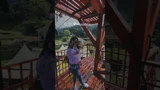 Free fall jump in Mussoorie | Alice Swift Vlogs