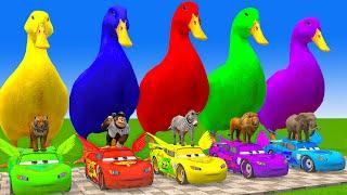 5 Giant Duck Cartoon,Cow,Elephant,Giraffe,Tiger,Lion, Paint Wild Animals Crossing Fountain Animation