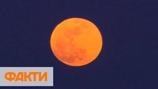 Кровавая Луна: когда и где будет видно первое лунное затмение 2019