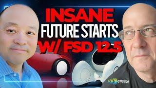 The World Starts to Change into an INSANE Future with Tesla FSD 12.5