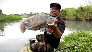 REKOR BARU Mancing ikan Nila Akhir Tahun 2024 dapat Babon semua di sungai liar