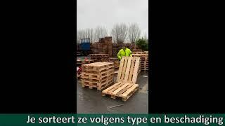 PGS REC Belgium - Sorteerder en hersteller van pallets - Nederlands