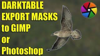 Mastering Darktable: Mask Export to Gimp or Photoshop