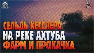 РУССКАЯ РЫБАЛКА 4 ● Сельдь Кесслера на реке Ахтуба ● Фарм и прокачка