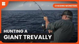 Searching for a Giant Trevally - Chasing Monsters - Fishing Show