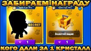 КОГО ДАЛИ??? ПОДАРОК ЗА 1 КРИСТАЛЛ В ИГРЕ Zooba: Free-for-all - Adventure Battle Game