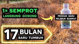 HERBISIDA TERBAIK menghancurkan rumput sampai akar tanpa sisa, racun rumput paling diminati petani