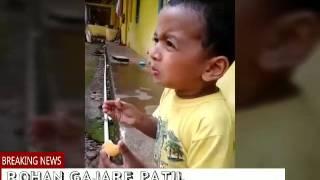 Best Funny GIF Video 2016