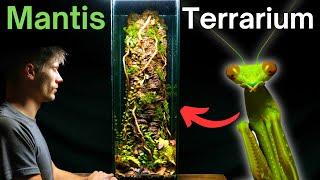 I Made A Tree Trunk Terrarium For a Praying Mantis, Here’s How!