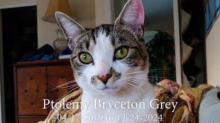 Ptolemy Bryceton Grey Memorial · 04-17-2019 to 12-24-2024