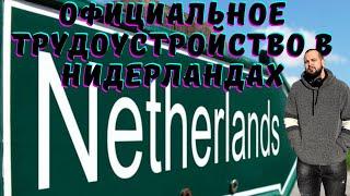 Что нужно что бы официально работать в Нидерландах ( Голландия )