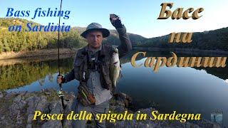 Ловля басса на Сардинии. Вass fishing on Sardinia. Pesca della spigola in Sardegna