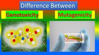 Difference Between Genotoxicity and Mutagenicity