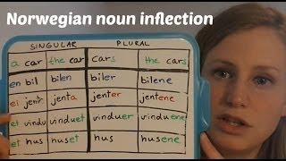 Norwegian noun inflection