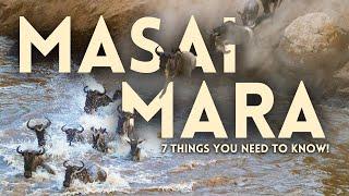 7 things you need to know before going on safari to the Masai Mara!