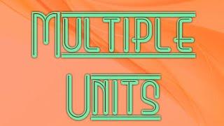 Multiple Units in an Items