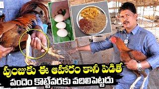 Sankranthi Pandem Kollu : Special Food Menu For Hens | Healthy Food For Hens | NewsQube