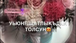 кумыкская песня— сени тувгъан гюнюнге 