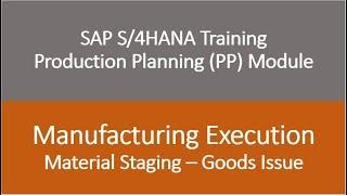 Video 22 - SAP S/4HANA Production Planning (PP) module training - Goods Issue