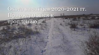 Охота на зайцев 2020-2021