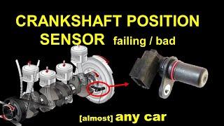 Crankshaft position sensor: how it works, symptoms, problems