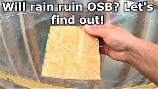 Is OSB ruined when wet or rained on?  Let's find out! #392