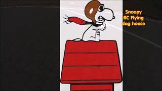 Snoopy rc flying dog house