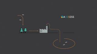 Are plants the key to succeeding with carbon dioxide removal (CDR)?