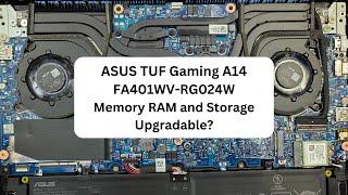 ASUS TUF Gaming A14 FA401WV-RG024W Upgradable? Memory RAM, Storage SSD Nvme Upgrade, Disassembly.