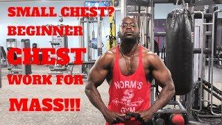 BEGINNER CHEST WORK FOR MASS