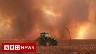 Spike in wildfires in Brazil's Amazon rainforest - BBC News