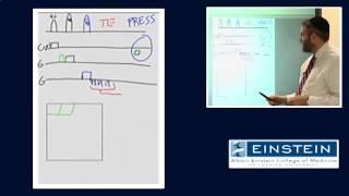 Introducing MRI: MR Spectroscopy (48 of 56)