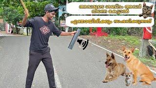 Animal Reaction To Ther Own Sound | അവരുടെ ശബ്ദം അവർ തന്നെ കേട്ടാൽ പ്രതികരണം#youtube #viral