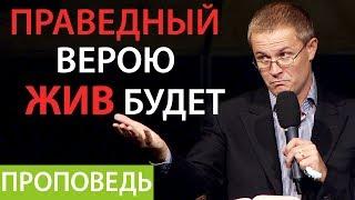 Праведный верою жив будет. Проповедь Александра Шевченко из серии Духовное развитие личности №31