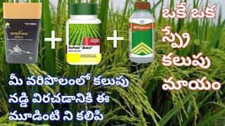 how to control weeds in paddy cultivation #nomineegold + #allmix + #wipsuper@Eruvaaka